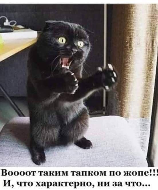 http://upforme.ru/uploads/0012/6e/7d/1844/311541.jpg