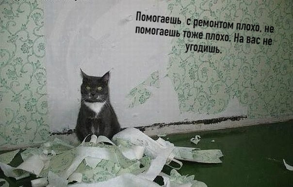 http://upforme.ru/uploads/0012/6e/7d/1844/328612.jpg