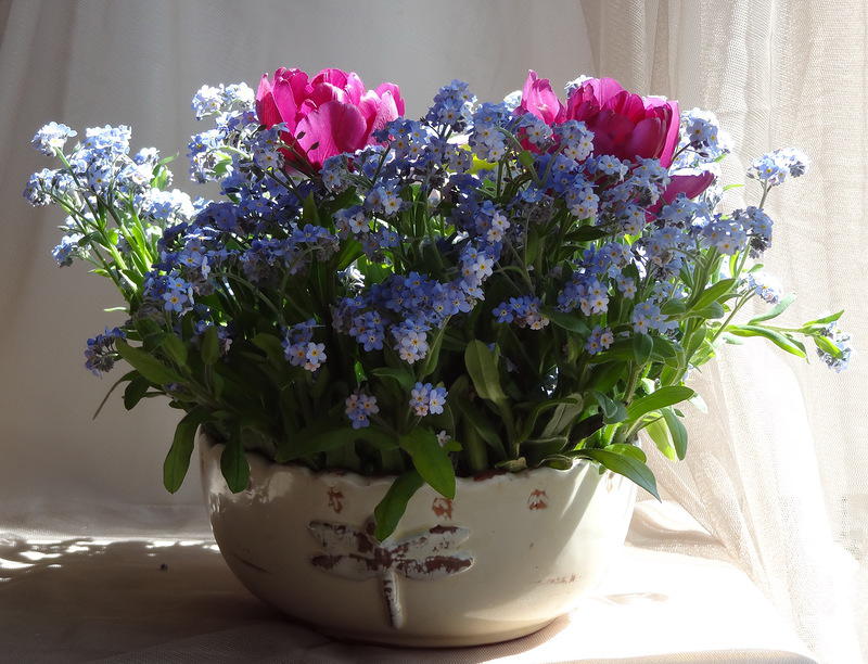 http://upforme.ru/uploads/0012/6e/7d/1844/333573.jpg