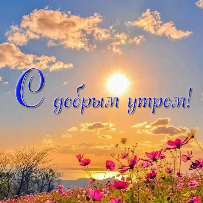 http://upforme.ru/uploads/0012/6e/7d/1844/343179.jpg