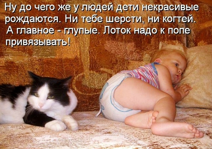 http://upforme.ru/uploads/0012/6e/7d/1844/349877.jpg