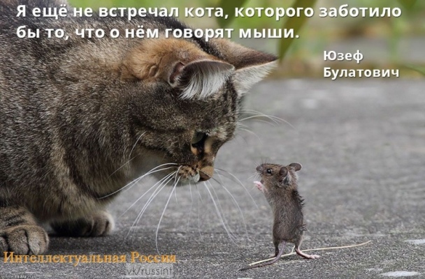 http://upforme.ru/uploads/0012/6e/7d/1844/364713.jpg
