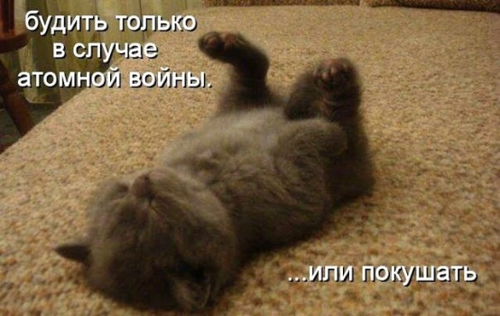 http://upforme.ru/uploads/0012/6e/7d/1844/38963.jpg