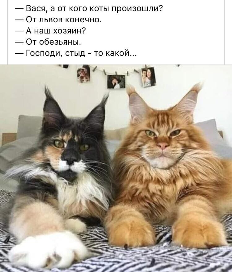 http://upforme.ru/uploads/0012/6e/7d/1844/40641.jpg