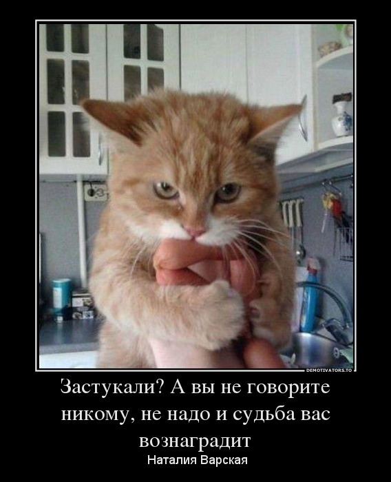 http://upforme.ru/uploads/0012/6e/7d/1844/411990.jpg