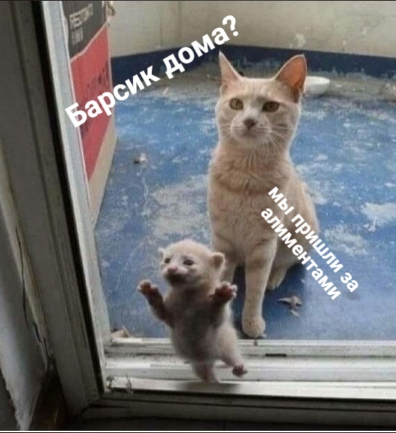 http://upforme.ru/uploads/0012/6e/7d/1844/414121.jpg