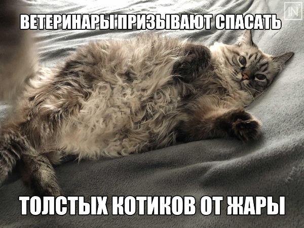 http://upforme.ru/uploads/0012/6e/7d/1844/426066.jpg