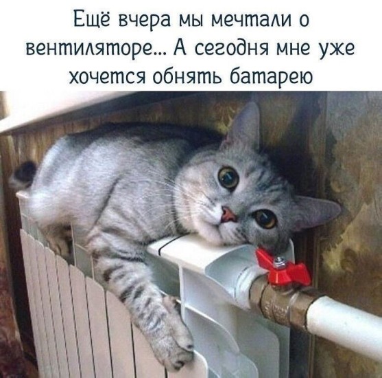 http://upforme.ru/uploads/0012/6e/7d/1844/437828.jpg