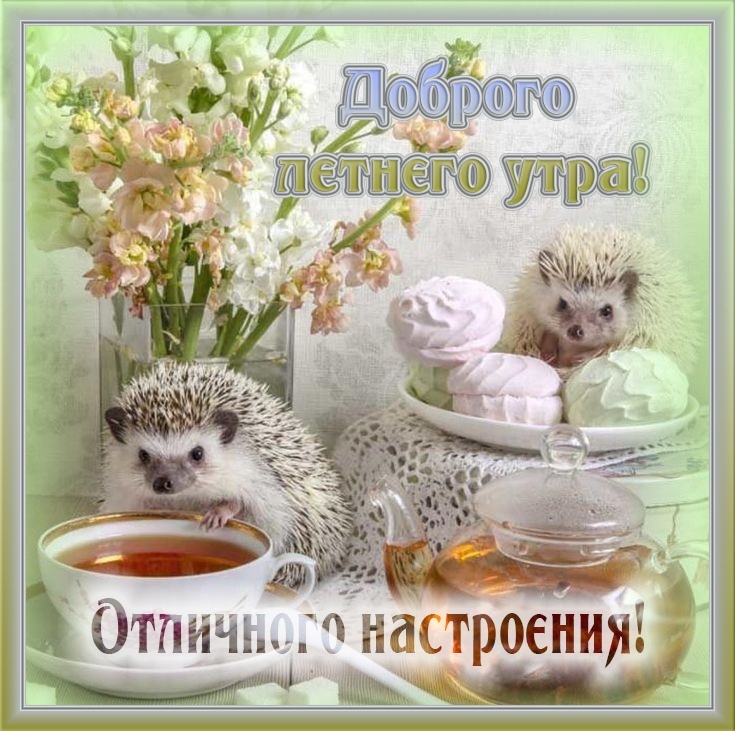 http://upforme.ru/uploads/0012/6e/7d/1844/441537.jpg