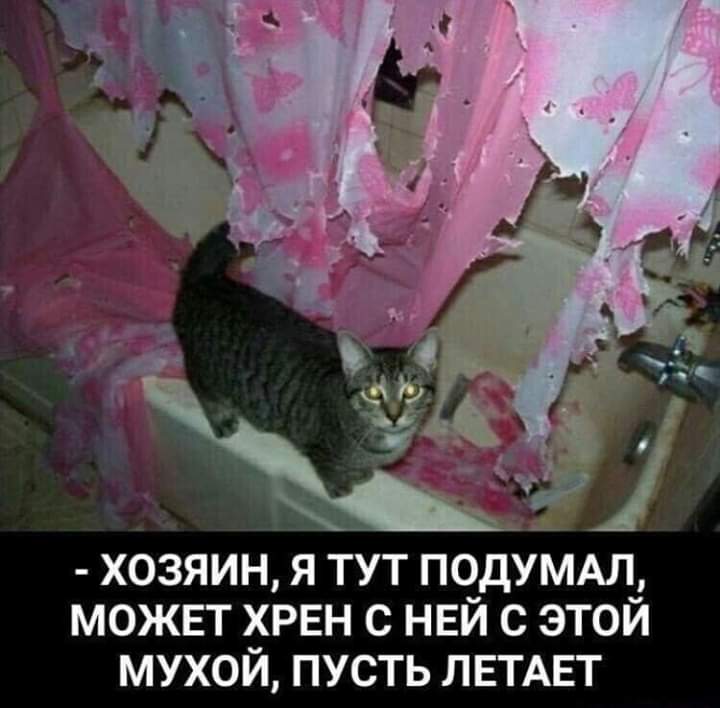 http://upforme.ru/uploads/0012/6e/7d/1844/447025.jpg