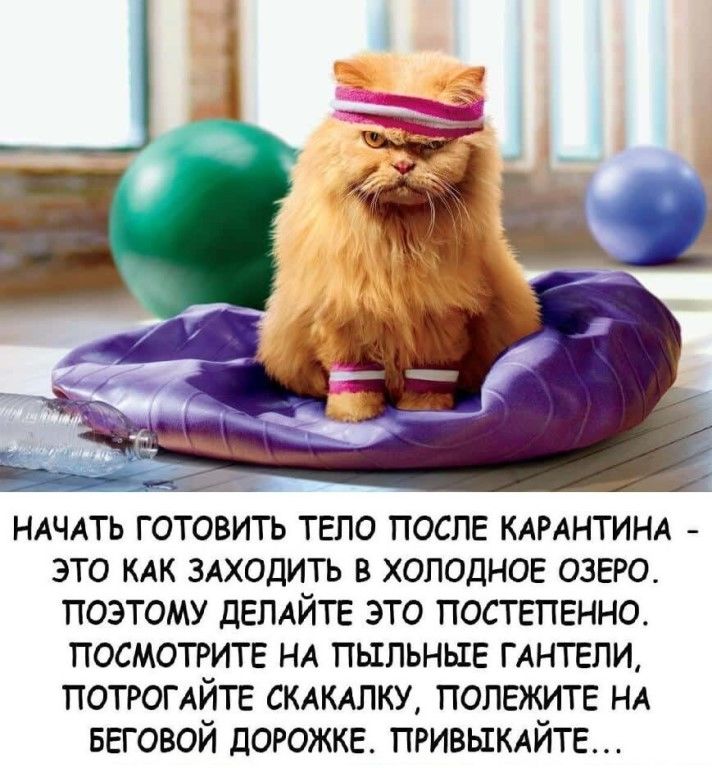 http://upforme.ru/uploads/0012/6e/7d/1844/448947.jpg