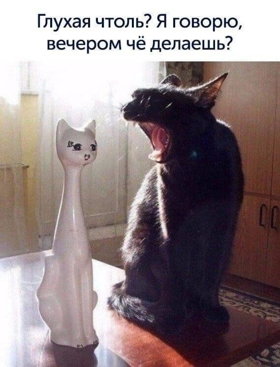 http://upforme.ru/uploads/0012/6e/7d/1844/457771.jpg