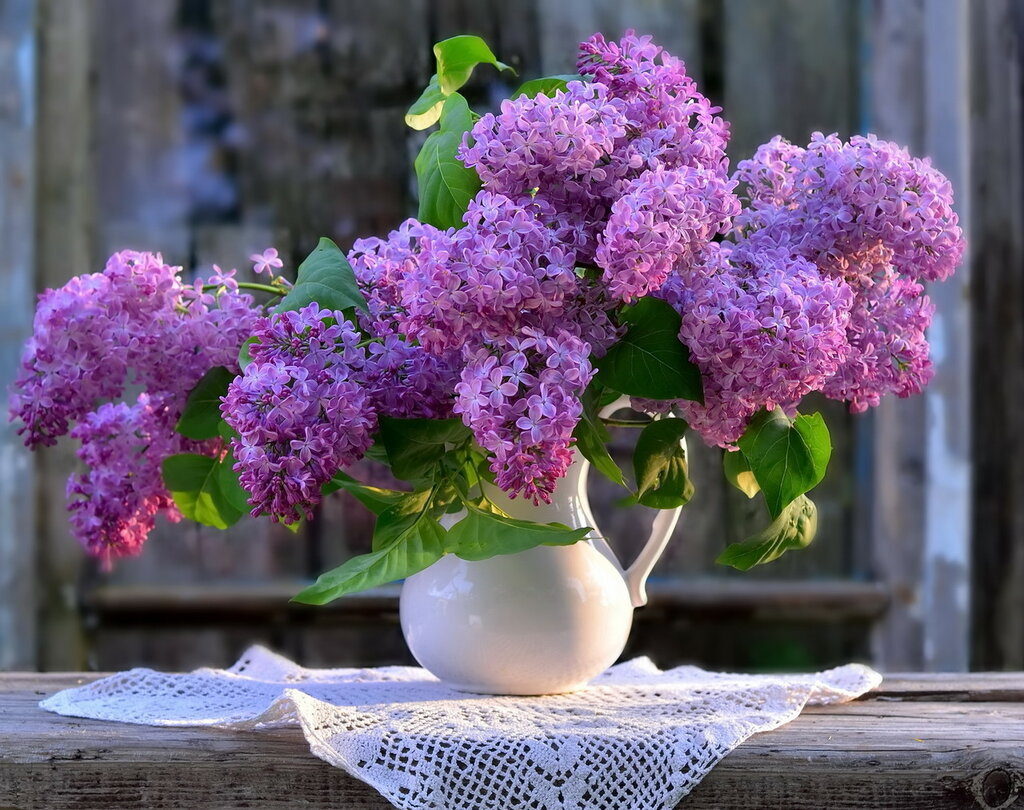 http://upforme.ru/uploads/0012/6e/7d/1844/462553.jpg
