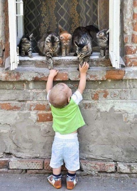 http://upforme.ru/uploads/0012/6e/7d/1844/463997.jpg