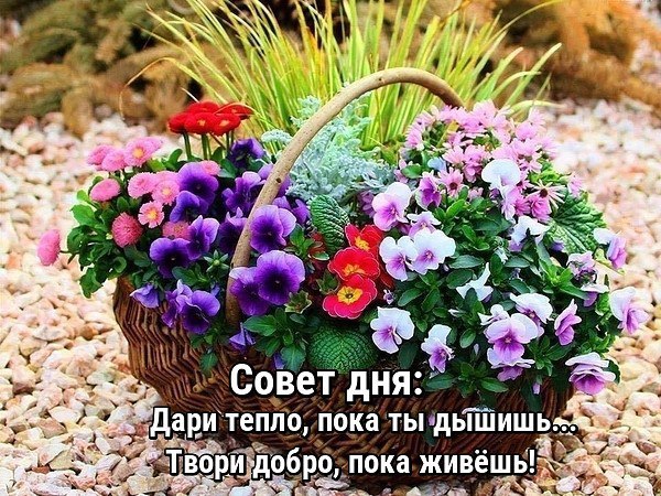 http://upforme.ru/uploads/0012/6e/7d/1844/470600.jpg