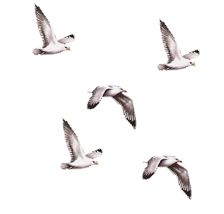 http://upforme.ru/uploads/0012/6e/7d/1844/47412.gif