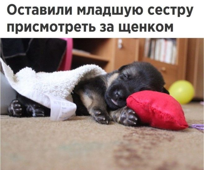 http://upforme.ru/uploads/0012/6e/7d/1844/480560.jpg