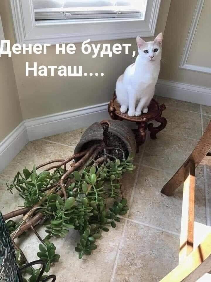 http://upforme.ru/uploads/0012/6e/7d/1844/481269.jpg