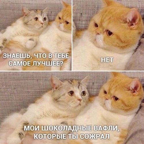 http://upforme.ru/uploads/0012/6e/7d/1844/491566.jpg