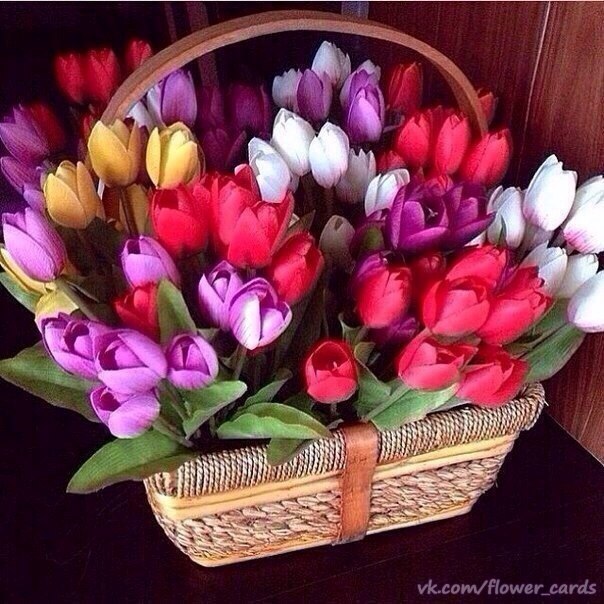 http://upforme.ru/uploads/0012/6e/7d/1844/49702.jpg