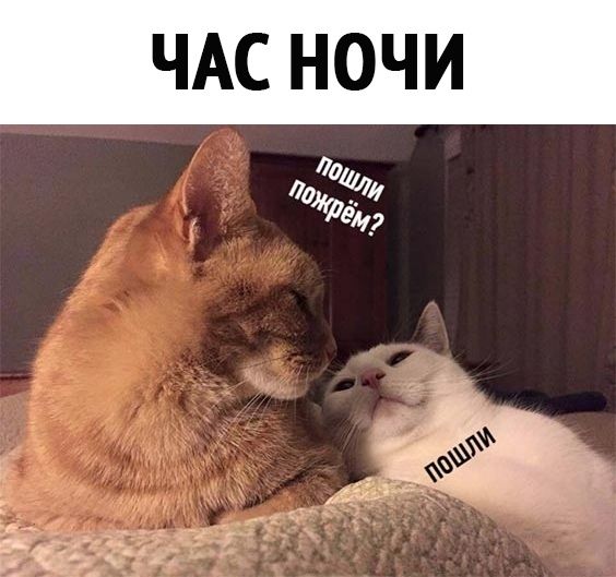 http://upforme.ru/uploads/0012/6e/7d/1844/50475.jpg