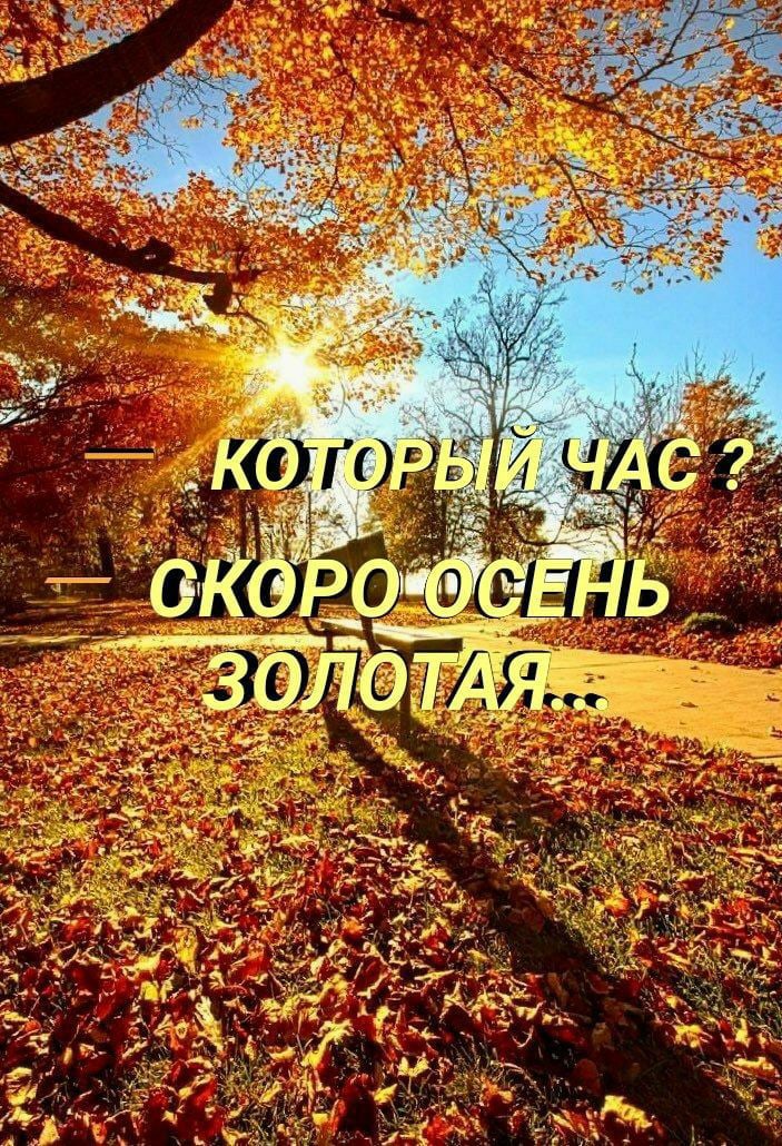 http://upforme.ru/uploads/0012/6e/7d/1844/506069.jpg