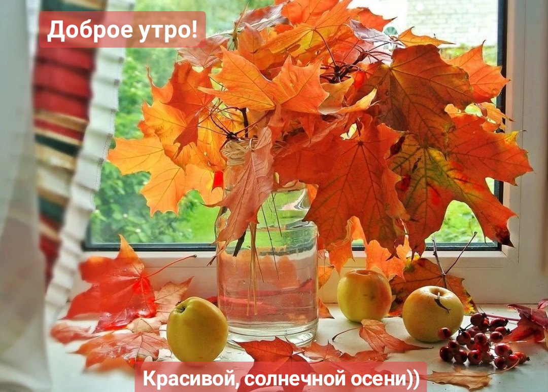 http://upforme.ru/uploads/0012/6e/7d/1844/507192.jpg