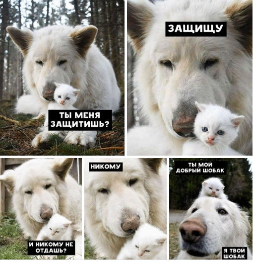 http://upforme.ru/uploads/0012/6e/7d/1844/51469.jpg