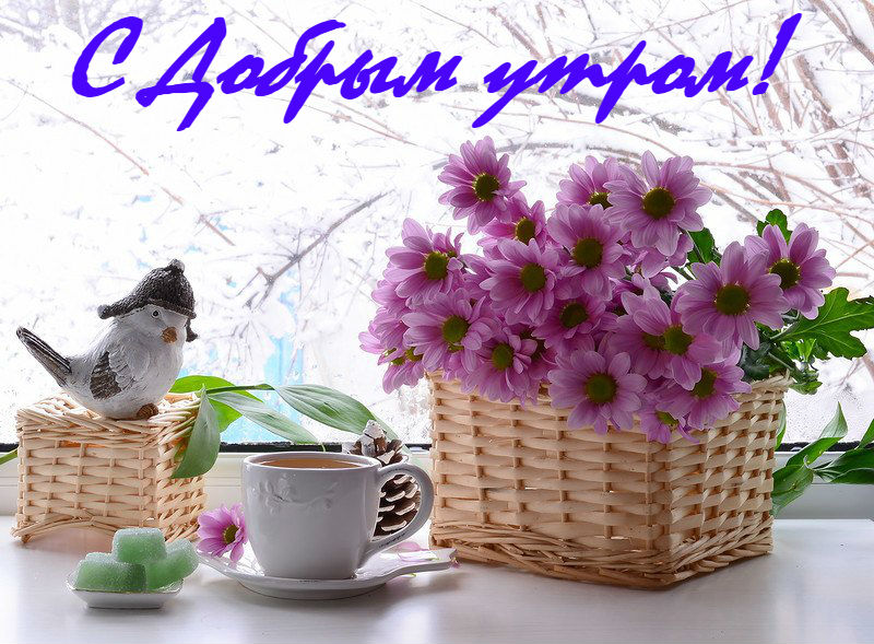 http://upforme.ru/uploads/0012/6e/7d/1844/54155.jpg