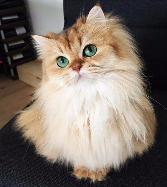 http://upforme.ru/uploads/0012/6e/7d/1844/542398.jpg