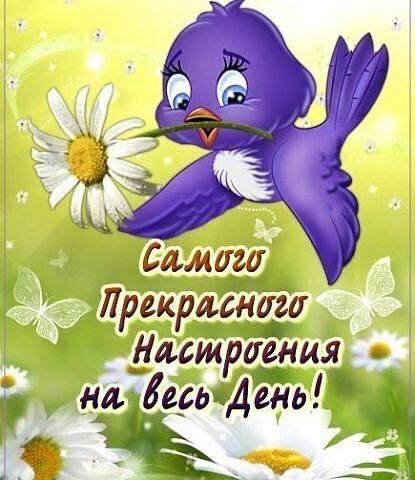 http://upforme.ru/uploads/0012/6e/7d/1844/544884.jpg