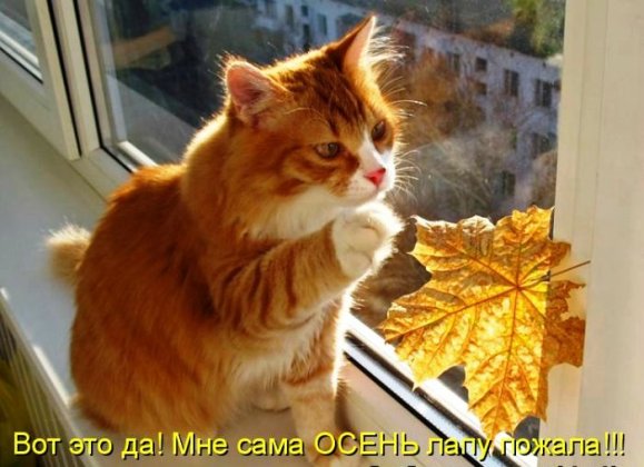 http://upforme.ru/uploads/0012/6e/7d/1844/549273.jpg