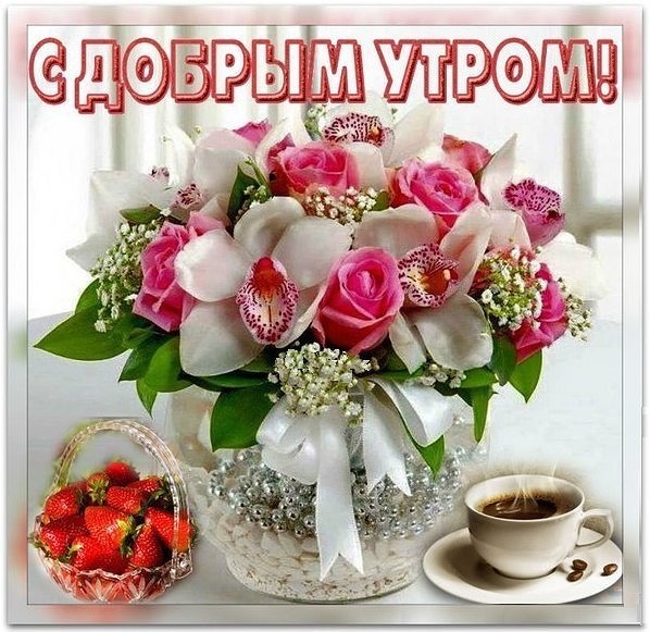 http://upforme.ru/uploads/0012/6e/7d/1844/563059.jpg