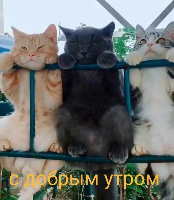 http://upforme.ru/uploads/0012/6e/7d/1844/57505.jpg
