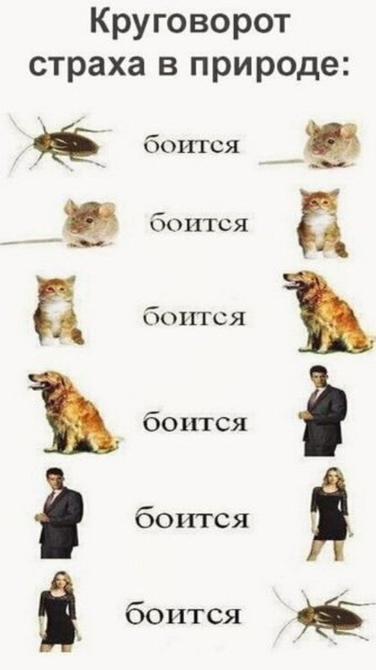 http://upforme.ru/uploads/0012/6e/7d/1844/591714.jpg