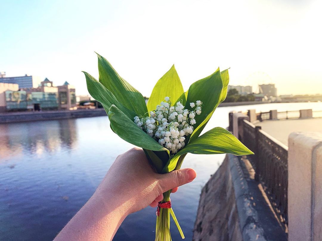 http://upforme.ru/uploads/0012/6e/7d/1844/593305.jpg