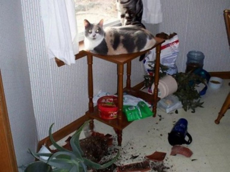 http://upforme.ru/uploads/0012/6e/7d/1844/595758.jpg