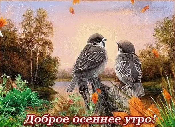 http://upforme.ru/uploads/0012/6e/7d/1844/599964.jpg