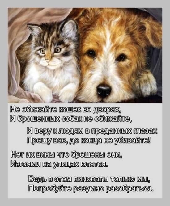 http://upforme.ru/uploads/0012/6e/7d/1844/603607.jpg
