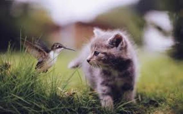 http://upforme.ru/uploads/0012/6e/7d/1844/66238.jpg