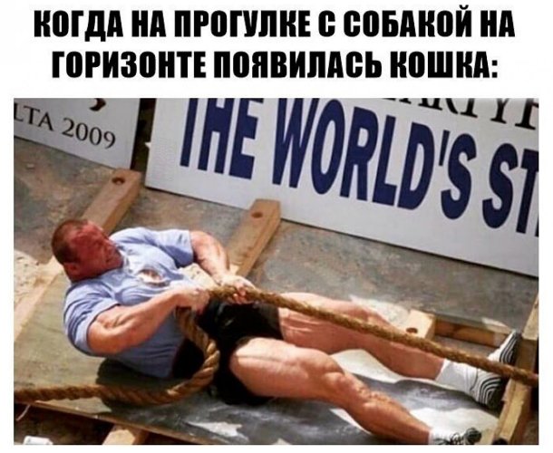 http://upforme.ru/uploads/0012/6e/7d/1844/665945.jpg