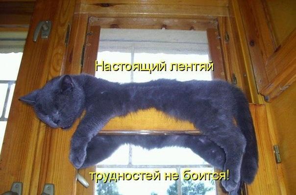 http://upforme.ru/uploads/0012/6e/7d/1844/673310.jpg