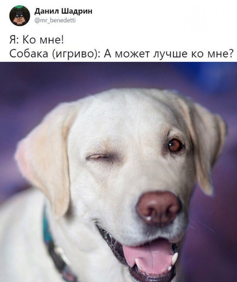 http://upforme.ru/uploads/0012/6e/7d/1844/712387.jpg