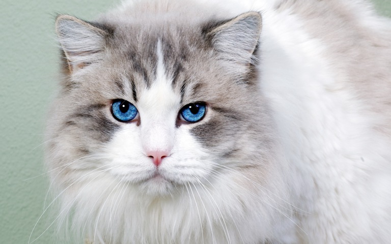 http://upforme.ru/uploads/0012/6e/7d/1844/73119.jpg