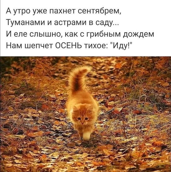 http://upforme.ru/uploads/0012/6e/7d/1844/737295.jpg