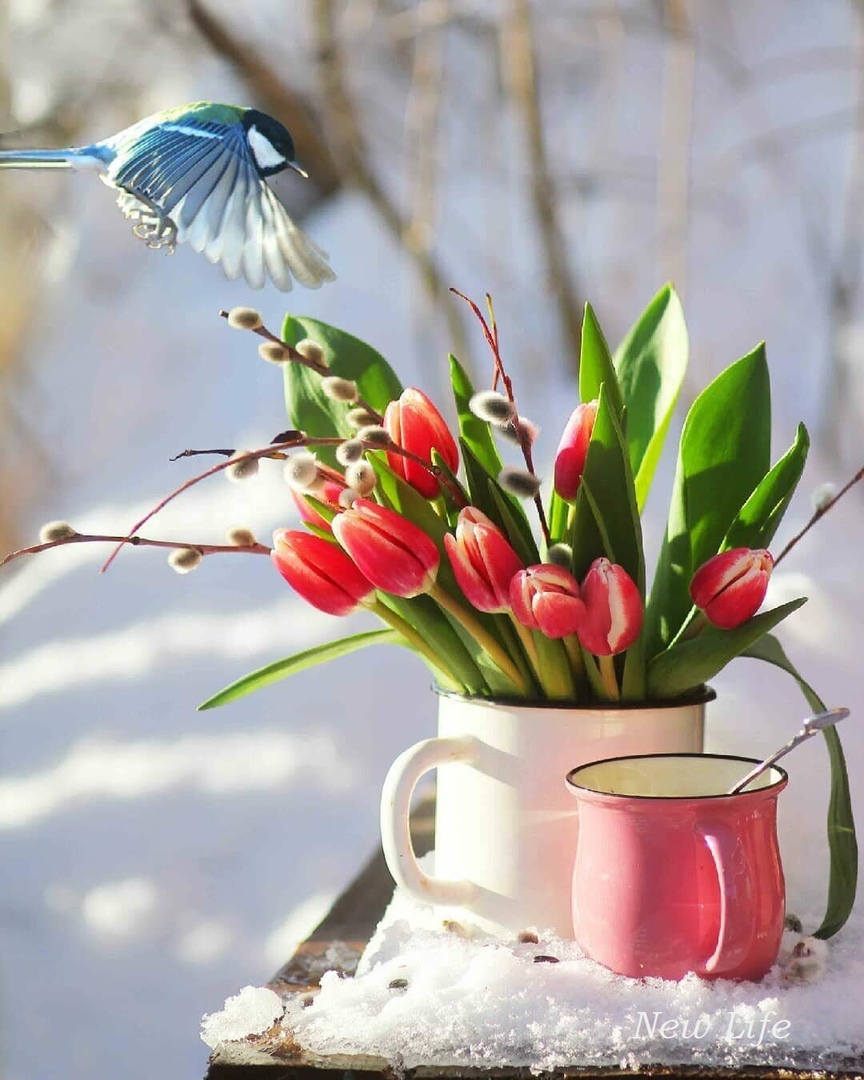 http://upforme.ru/uploads/0012/6e/7d/1844/74070.jpg