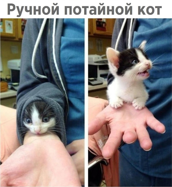 http://upforme.ru/uploads/0012/6e/7d/1844/750473.jpg