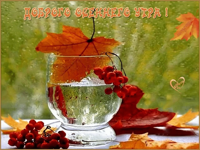 http://upforme.ru/uploads/0012/6e/7d/1844/761988.jpg