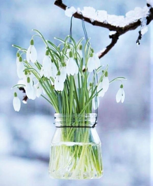 http://upforme.ru/uploads/0012/6e/7d/1844/76205.jpg