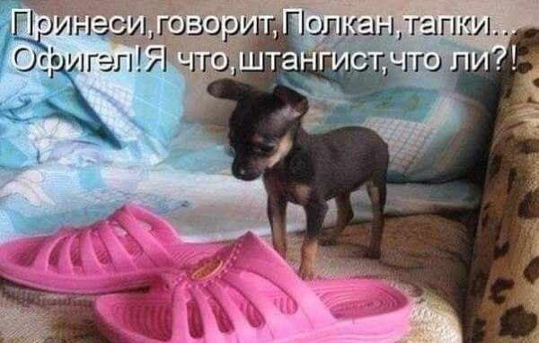 http://upforme.ru/uploads/0012/6e/7d/1844/771473.jpg
